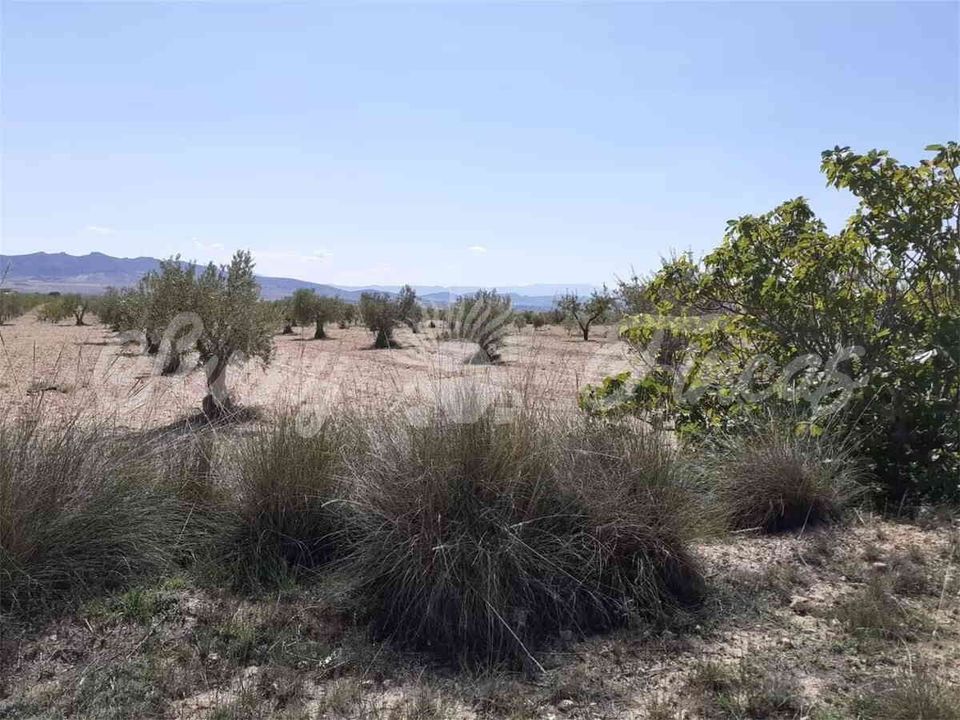 Ruinere i Yecla, Murcia - foto 4
